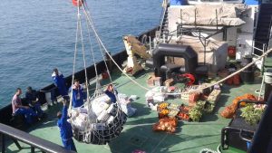 Efficient Ship Supplies for a Seamless Voyage